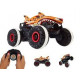 maşın Hot Wheels monster trucks