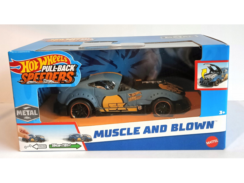 kolleksiya maşını Hot Wheels  hpr70