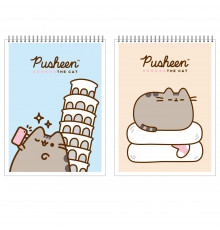 bloknot Pusheen 40 vərəq PS11/2