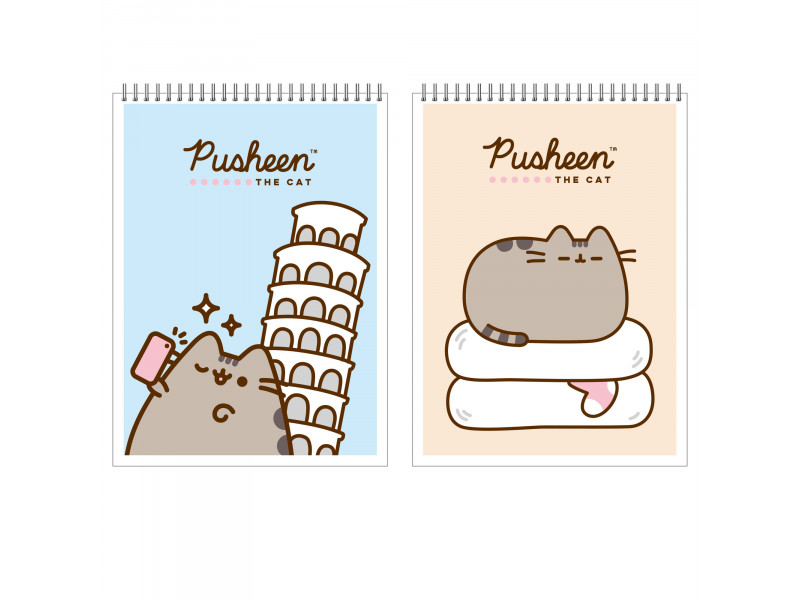 bloknot Pusheen 40 vərəq PS11/2