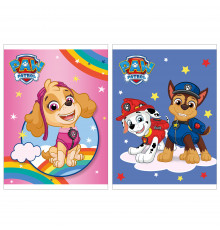 yazı kitabçası Paw Patrol dama 24 vərəq А6 PP26/2