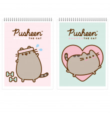 bloknot Pusheen dama 40 vərəq А7 PS13/2