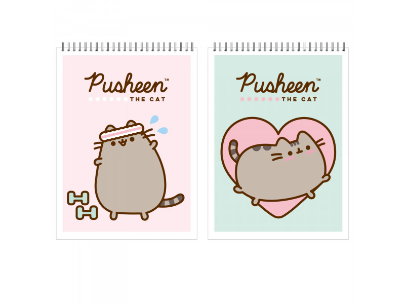 bloknot Pusheen dama 40 vərəq А7 PS13/2